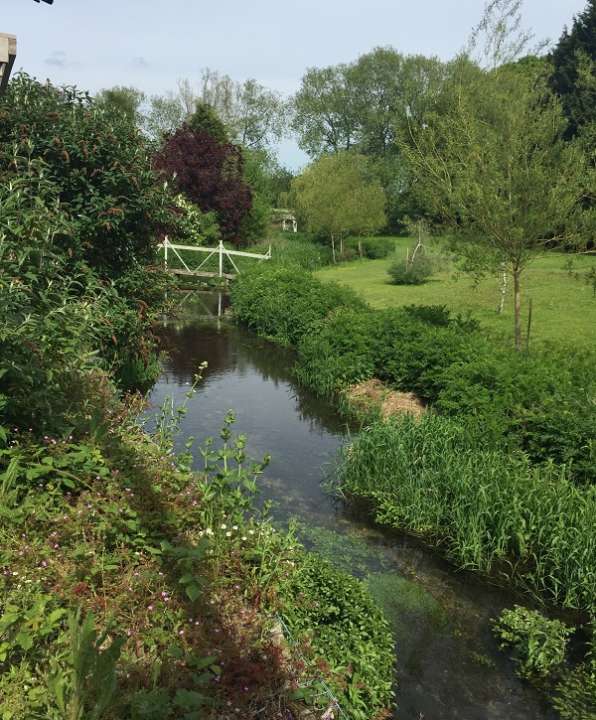 Go with the flow! Conkers Garden Centre